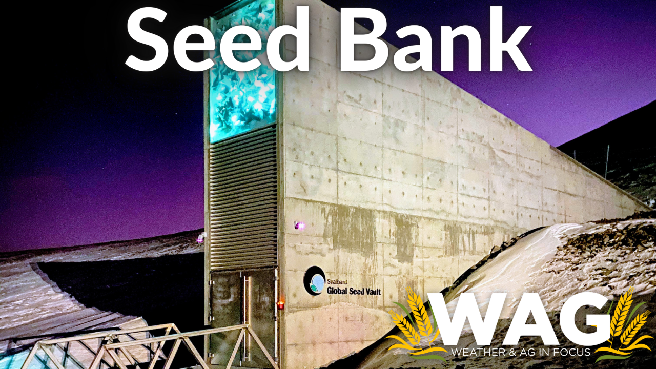 Seeds Under Lock and Key - WAG In Focus 4-28-23