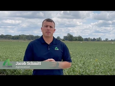 Technology in Field Scouting | AgroLiquid