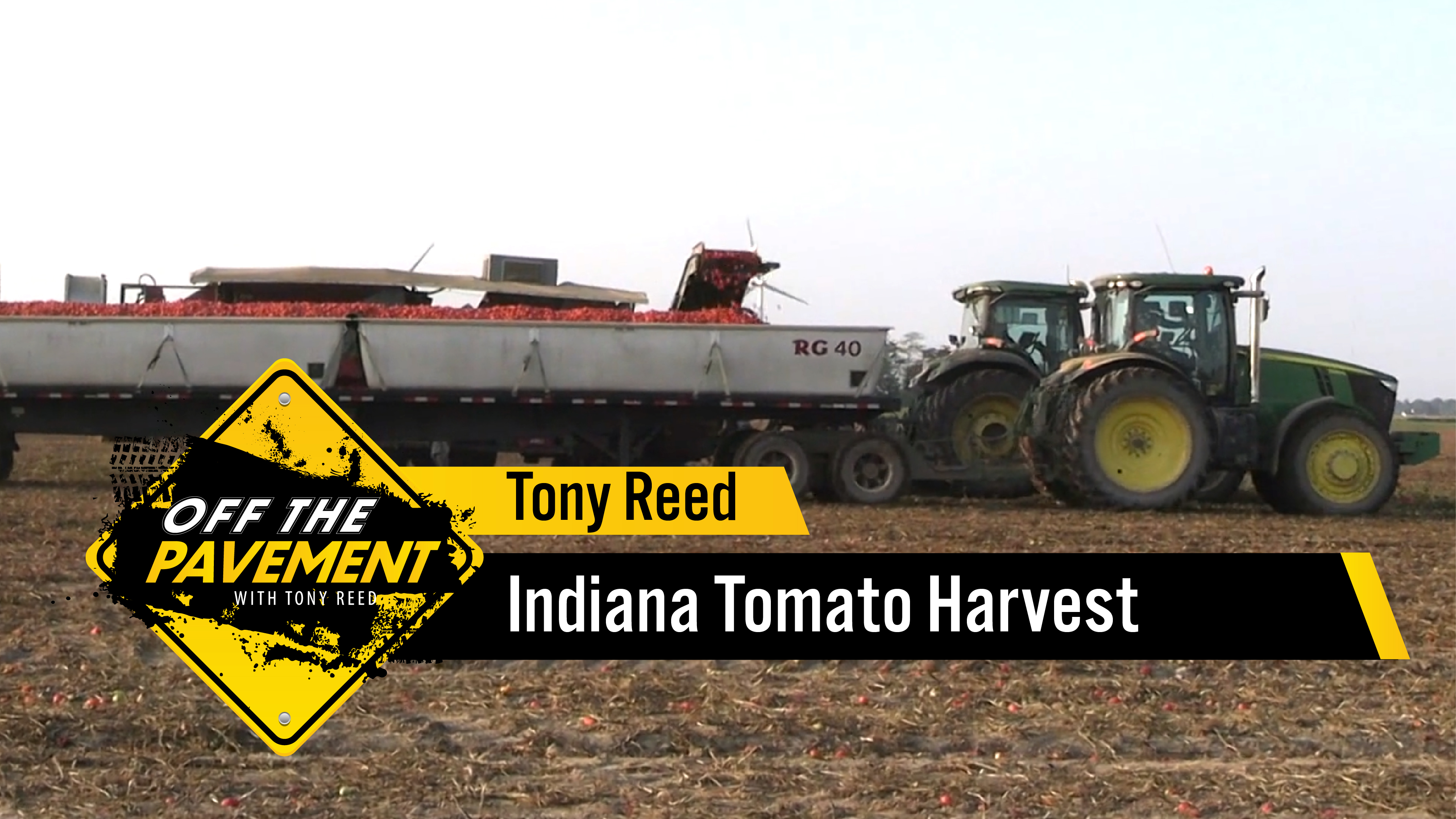 Indiana Tomato Harvest | Tony Reed