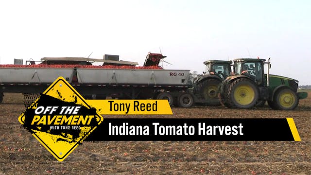 Indiana Tomato Harvest | Tony Reed