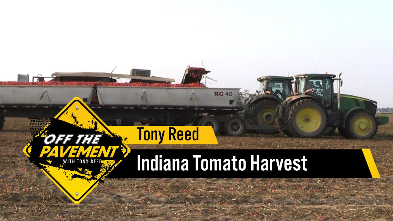 Indiana Tomato Harvest | Tony Reed - Tony Reed - AcresTV