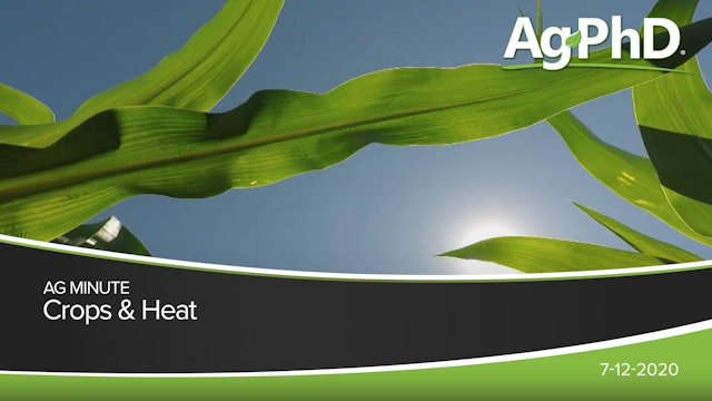 Crops and Heat | Ag PhD