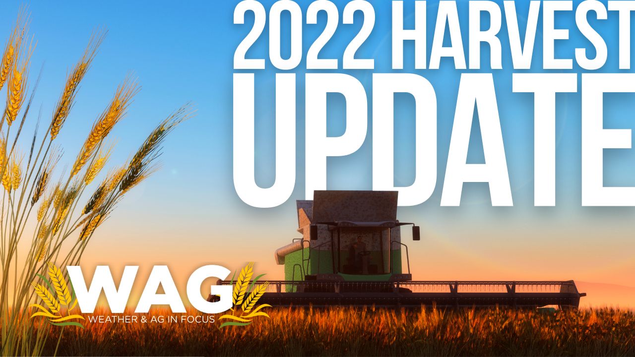 Update on 2022 Harvest from a Local Farmer - WAG In Focus 11-2-22