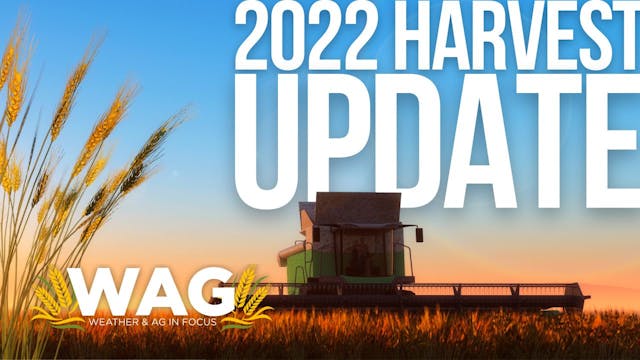 Update on 2022 Harvest from a Local F...