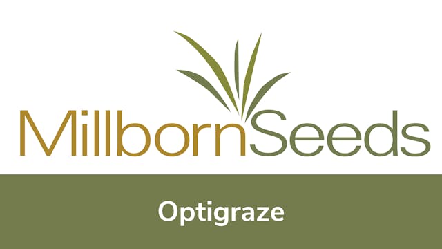 Millborn Seeds - Optigraze