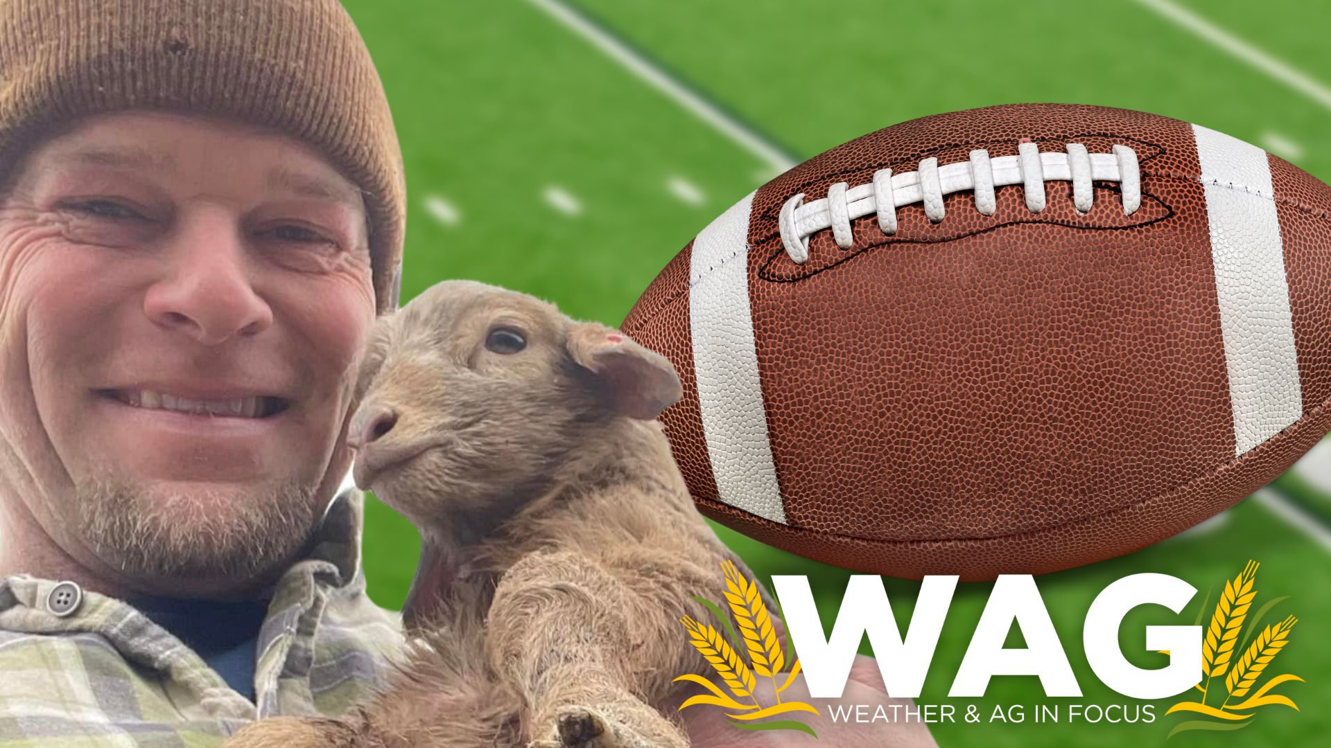 From one FIELD to ANOTHER! - WAG In Focus 2-14-23