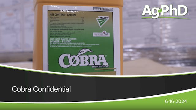 Cobra Confidential | Ag PhD