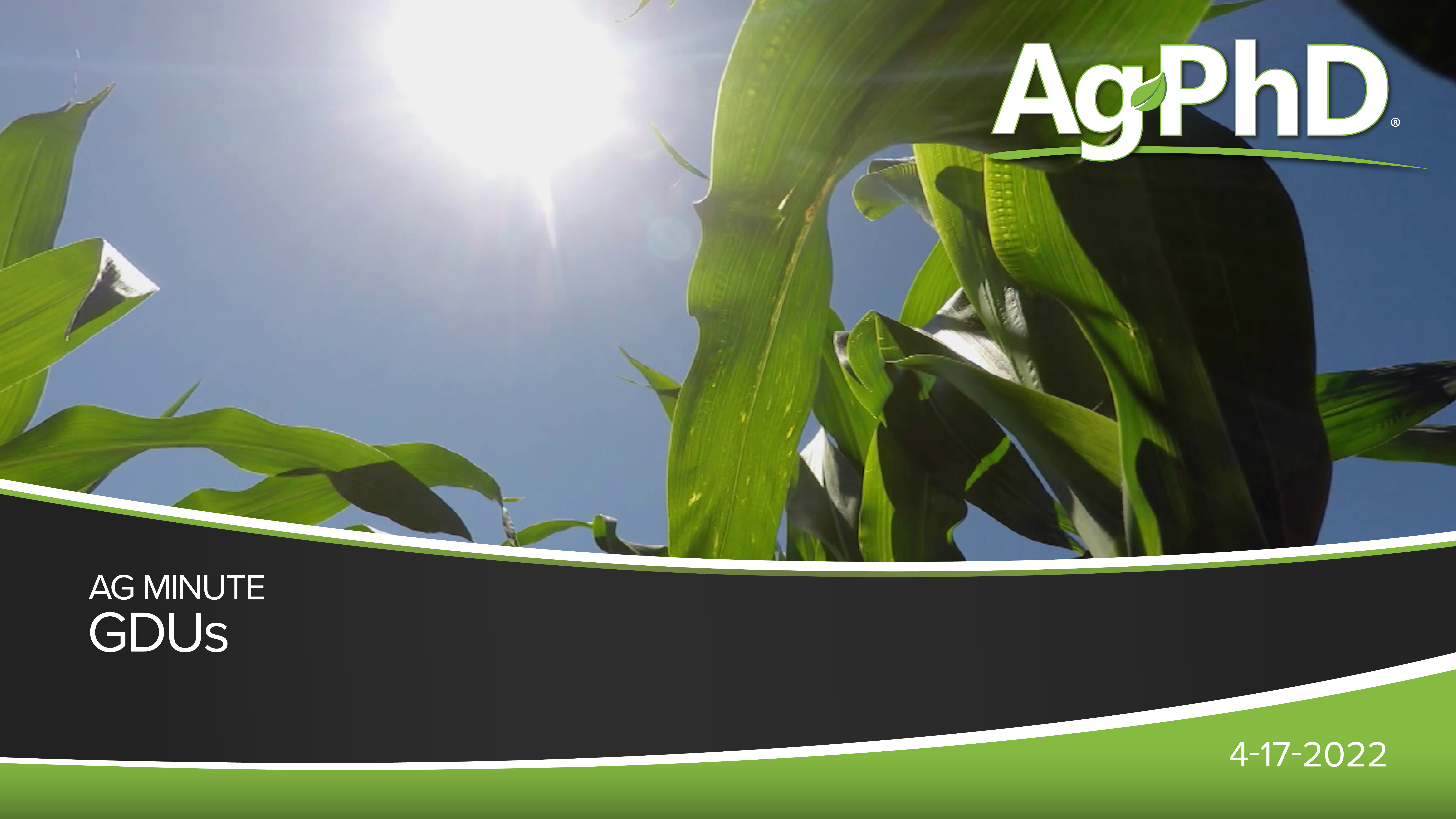 GDUs | Ag PhD