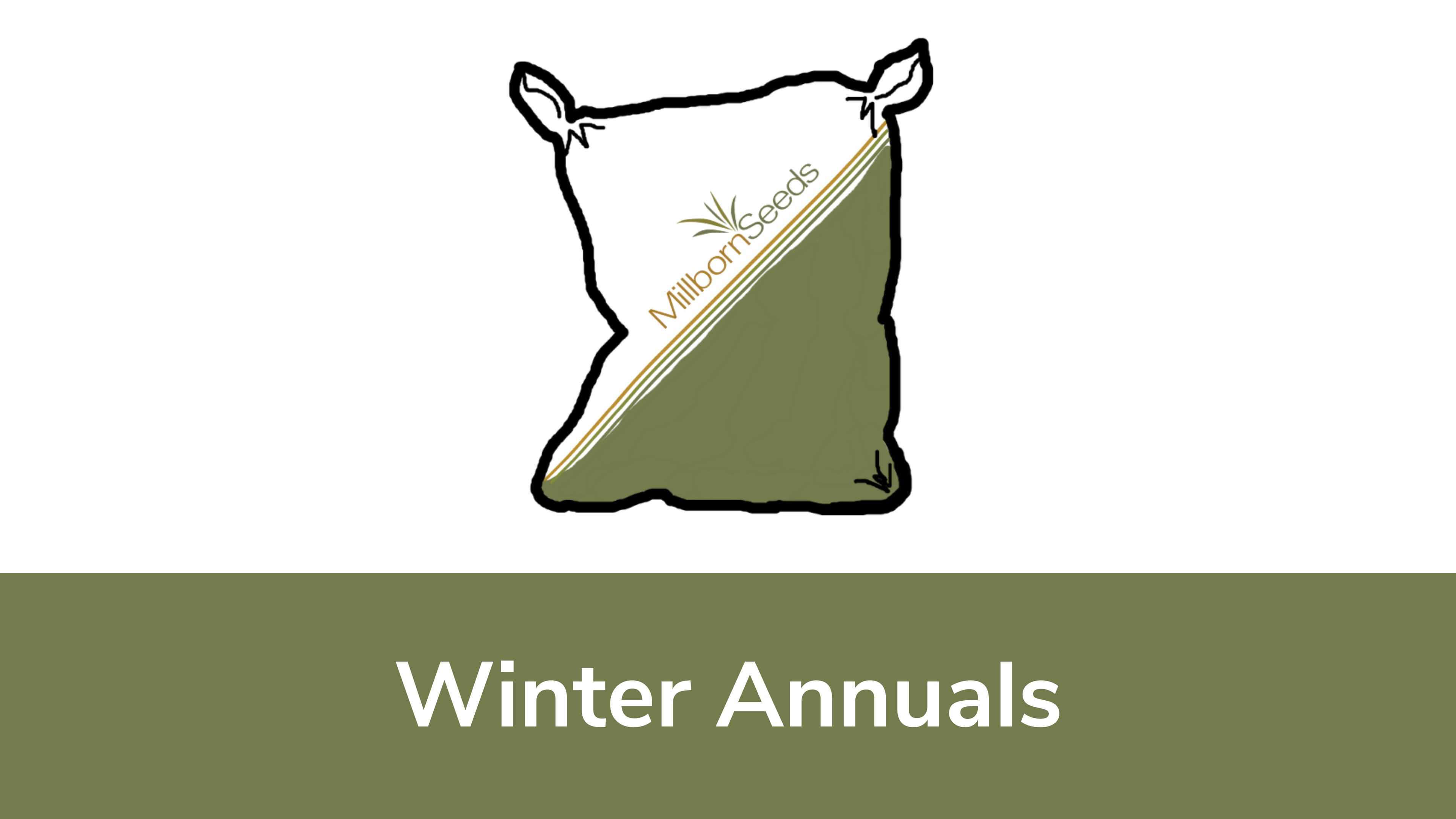 Winter Annuals