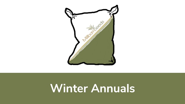 Winter Annuals