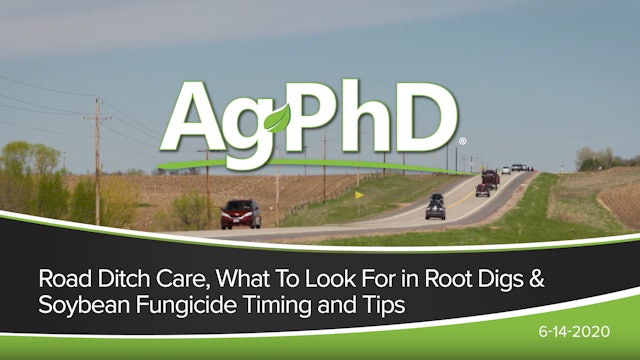 Ditch Care, What to Look for in Root Digs, Soybean Fungicide Timing and Tips