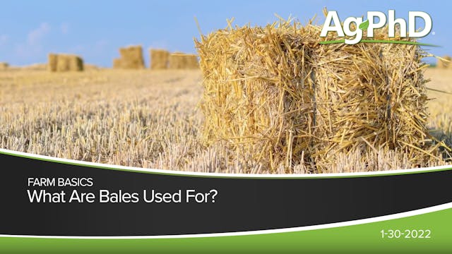 What Are Bales Used For? | Ag PhD