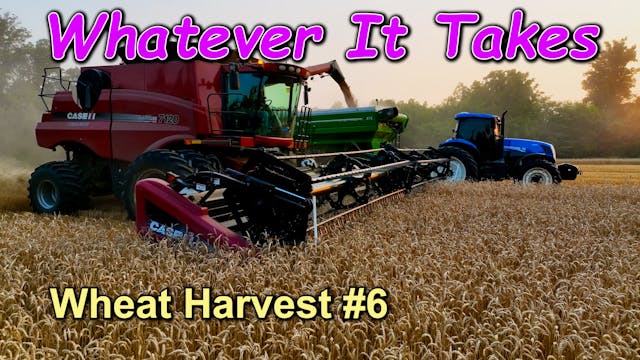 Whatever It Takes... Wheat Harvest #6...