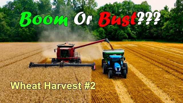 Boom Or Bust??? Wheat Harvest #2 | Griggs Farms