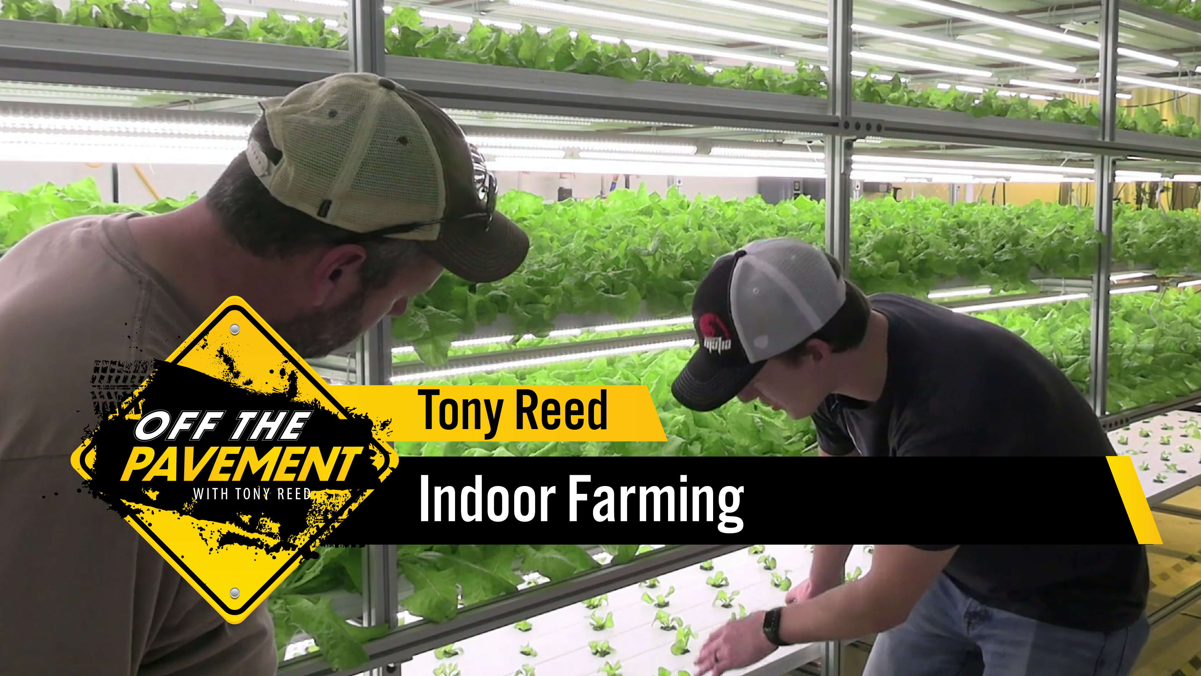 Indoor Farming | Tony Reed