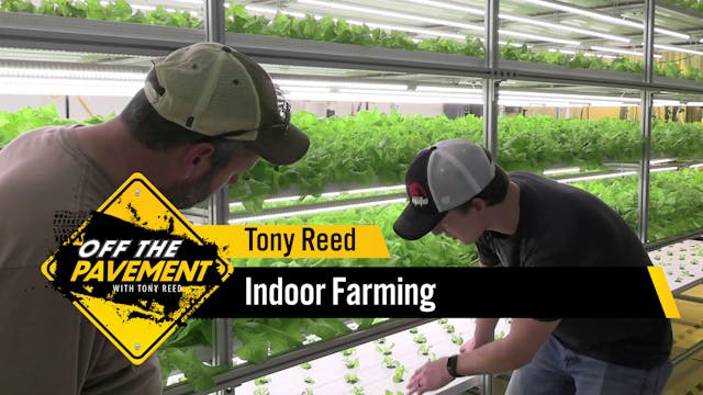 Indoor Farming | Tony Reed