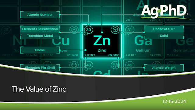 The Value of Zinc | Ag PhD