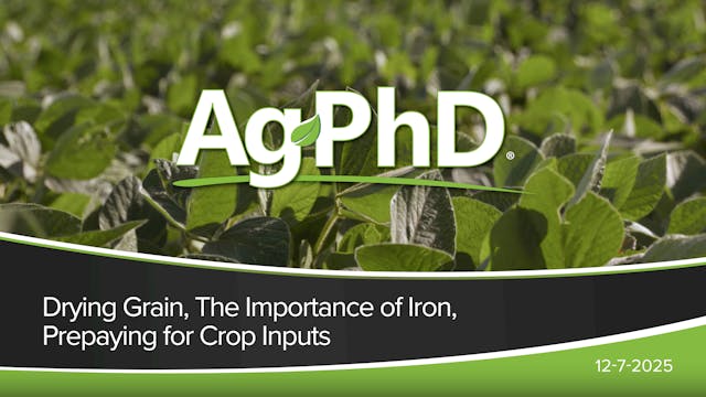Drying Grain, The Importance of Iron,...