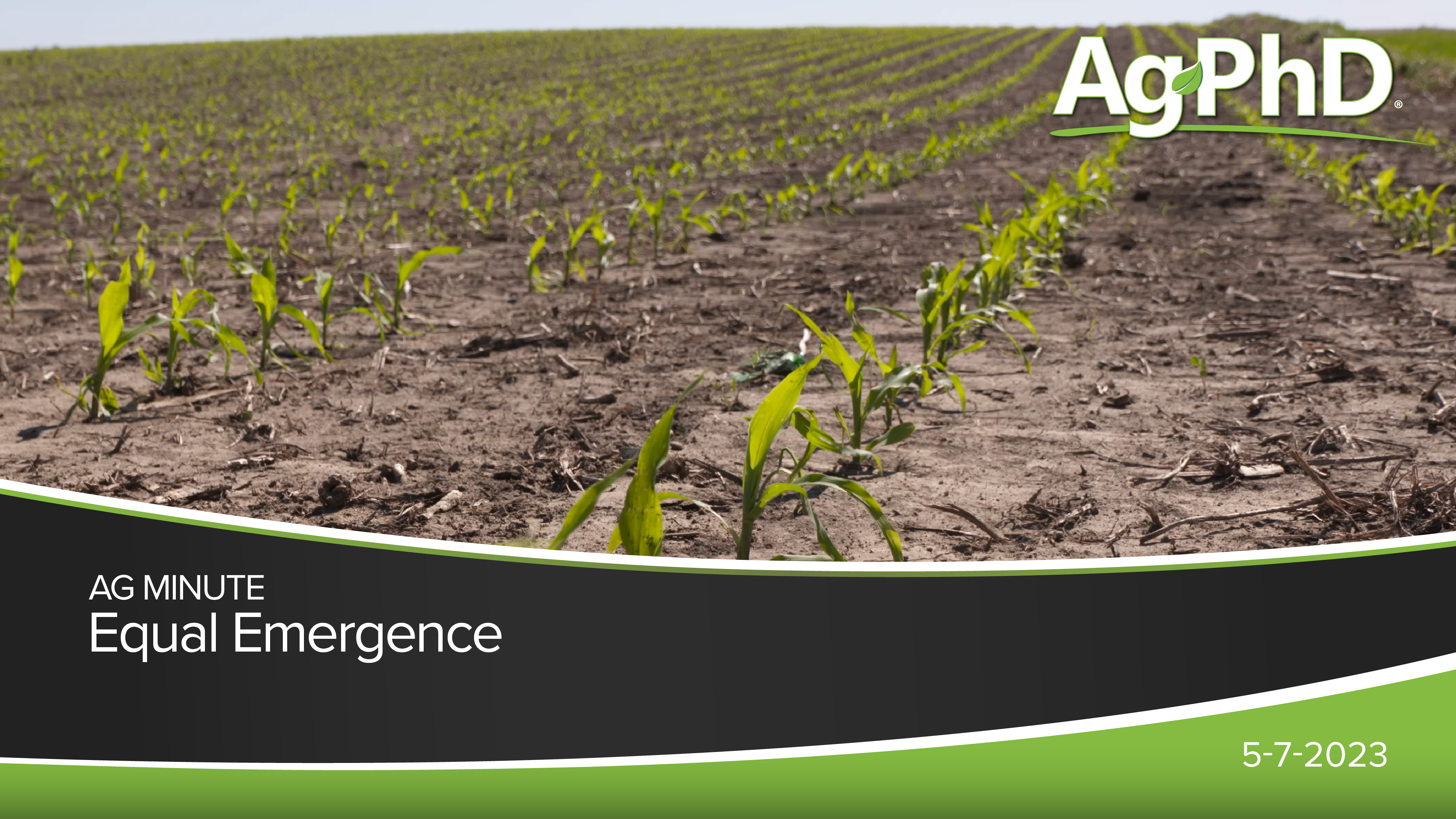 Equal Emergence | Ag PhD