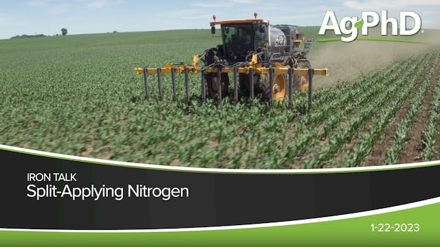 Split-Applying Nitrogen | Ag PhD