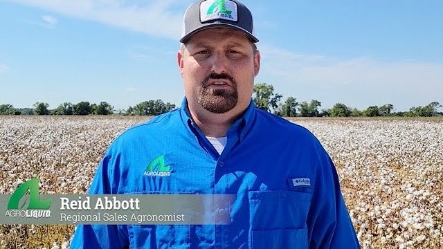 Importance of Sulfur in Crop Production | AgroLiquid