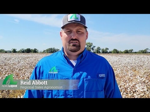 Importance of Sulfur in Crop Production | AgroLiquid