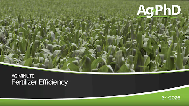 Fertilizer Efficiency | Ag PhD