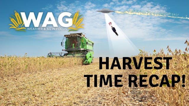 LIVE - Harvest Time Recap! WAG In Foc...