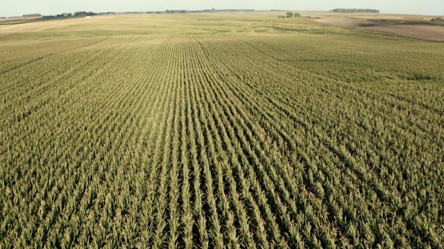 Journey of the Molecule | Bayer