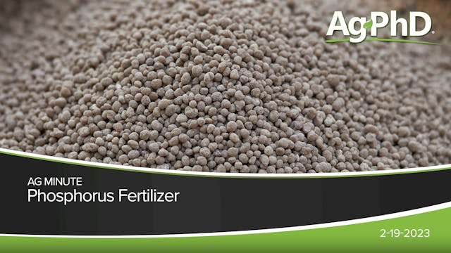 Phosphorus Fertilizer | Ag PhD