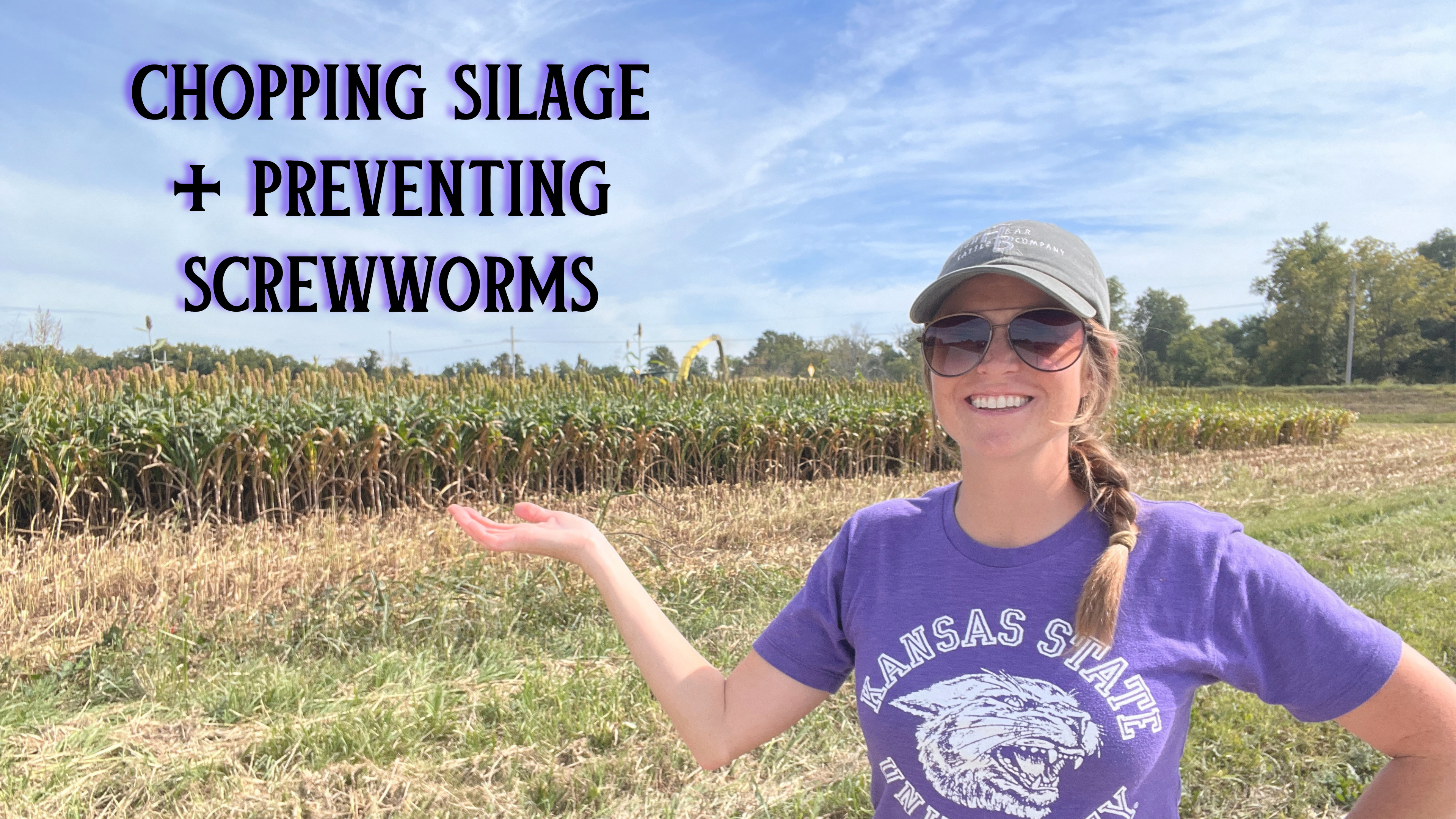 Chopping Silage and Preventing Screwworms | Buzzard's Beat