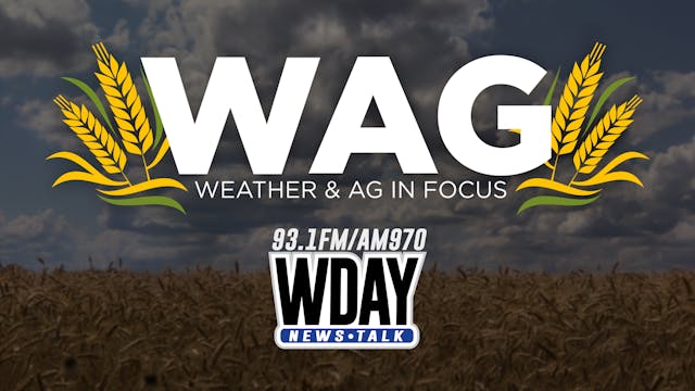 All About Soybeans! WAG In Focus 1-9-23