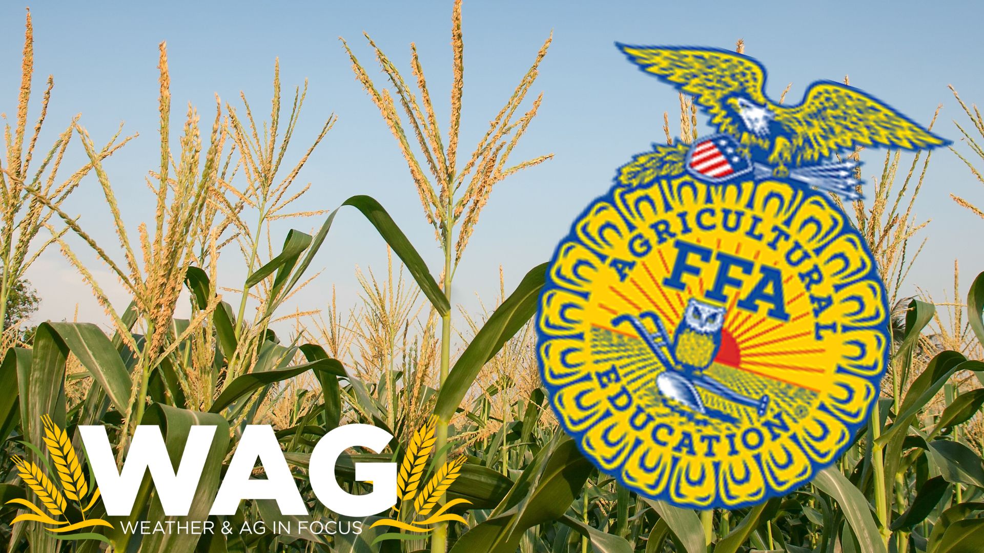 Making Sure the Future of Farming is Bright! WAG In Focus 2-23-23