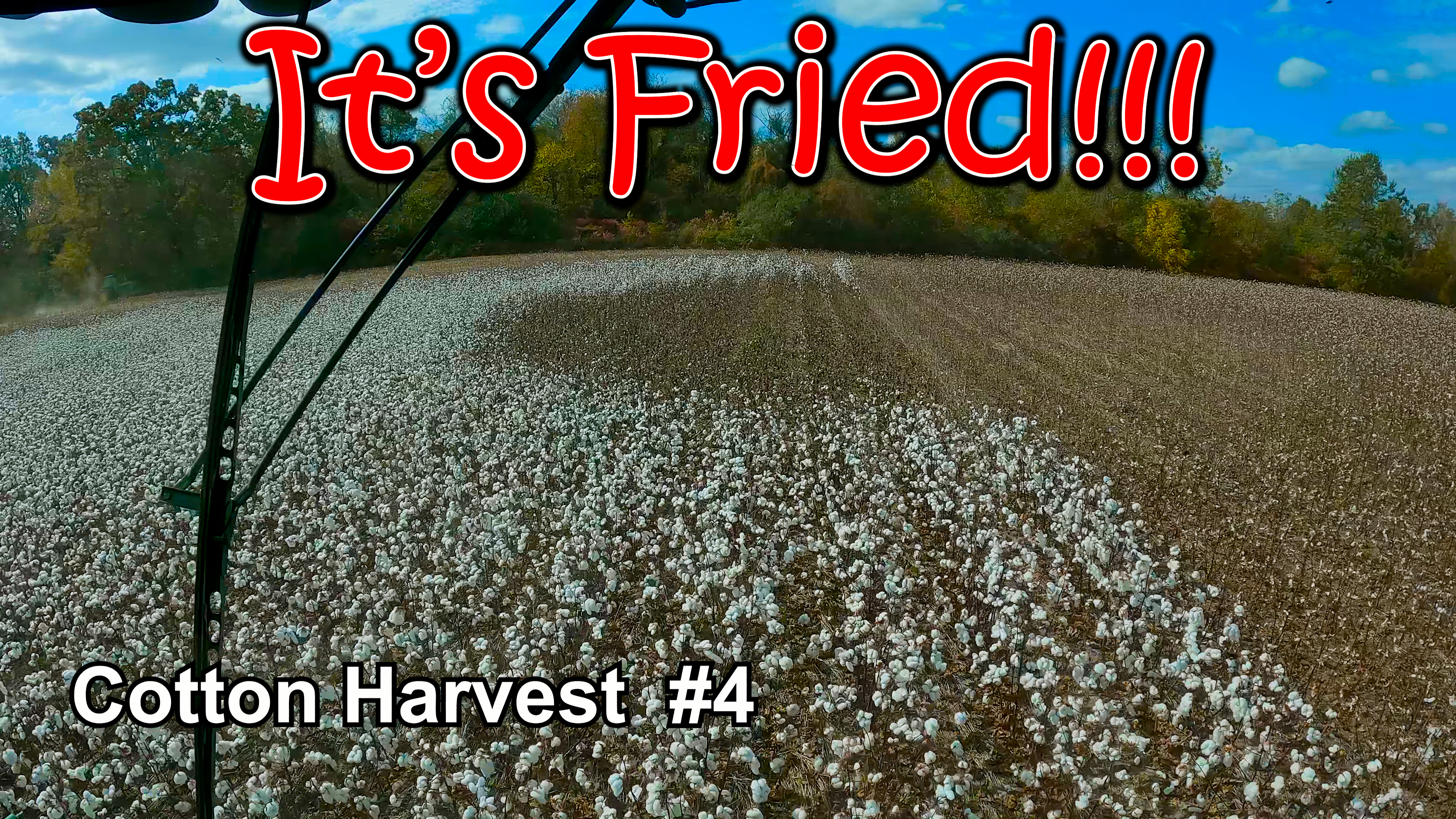 Lightning Fried My Crop!!!  Cotton Harvest #4 | Griggs Farms