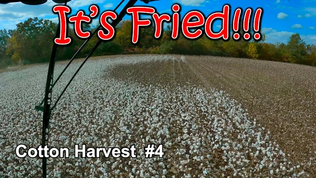 Lightning Fried My Crop!!!  Cotton Harvest #4 | Griggs Farms