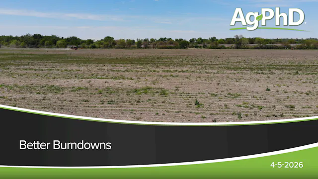 Better Burndowns | Ag PhD