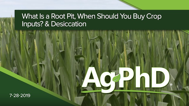 What is a Root Pit, When Should You Buy Crop Inputs? Desiccation