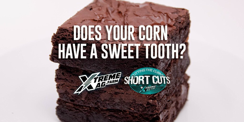 Does Your Corn Have A Sweet Tooth | XtremeAg