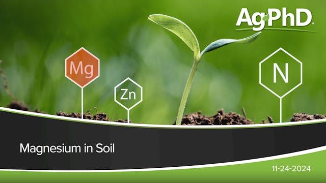 Magnesium in Soil | Ag PhD