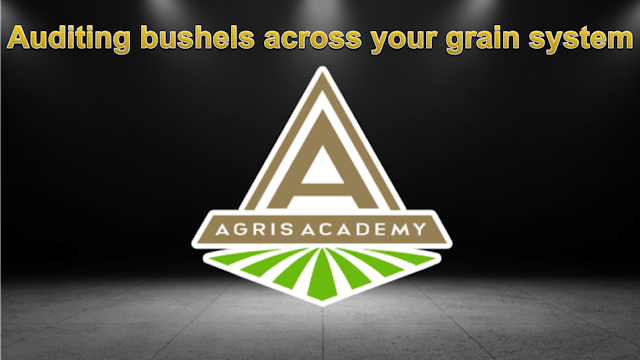 Auditing | AgrisAcademy