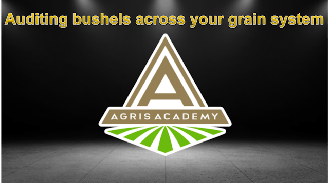 Auditing | AgrisAcademy