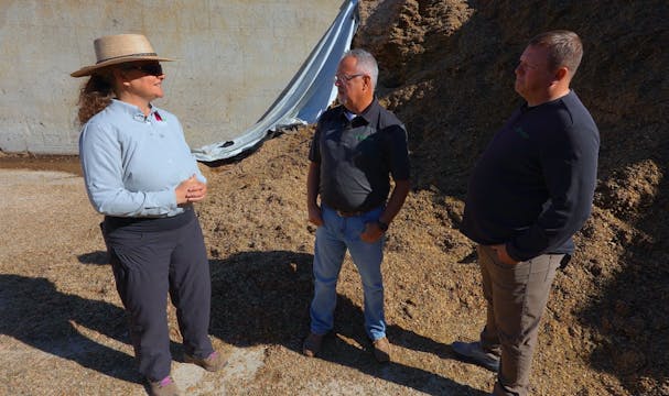 Better Silage for Better Milk Yield |...