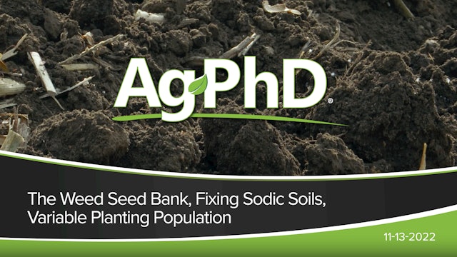 The Weed Seed Bank, Fixing Sodic Soils, Variable Planting Population | Ag PhD