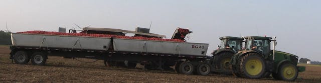 Indiana Tomato Harvest | Tony Reed