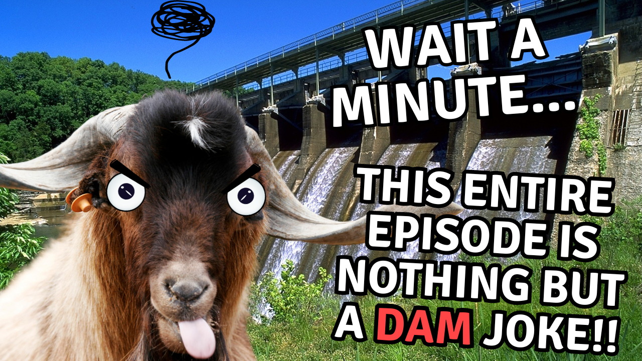 What To Do With All This Water? | WAG in Focus 07/10/24