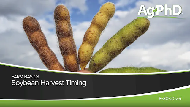 Soybean Harvest Timing | Ag PhD