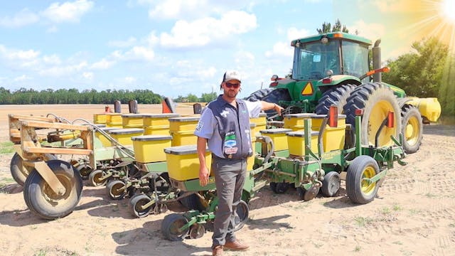 Busy Day Planting Peanuts | Randy the...