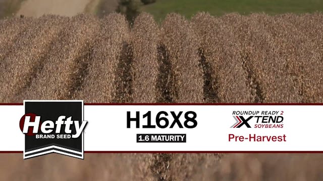 H16X8 | 1.6-Maturity | Xtend