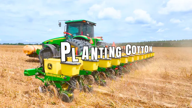 Cotton Price Went Up So We Planted So...