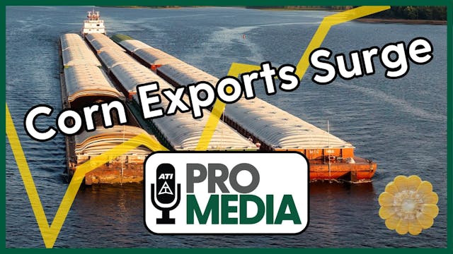 Corn Exports Surge | ATI ProMedia 12/...